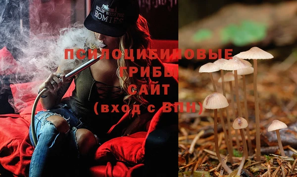 бутират Горняк